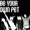 be-your-own-pet-2